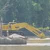 Concrete Pier Removal with PC600